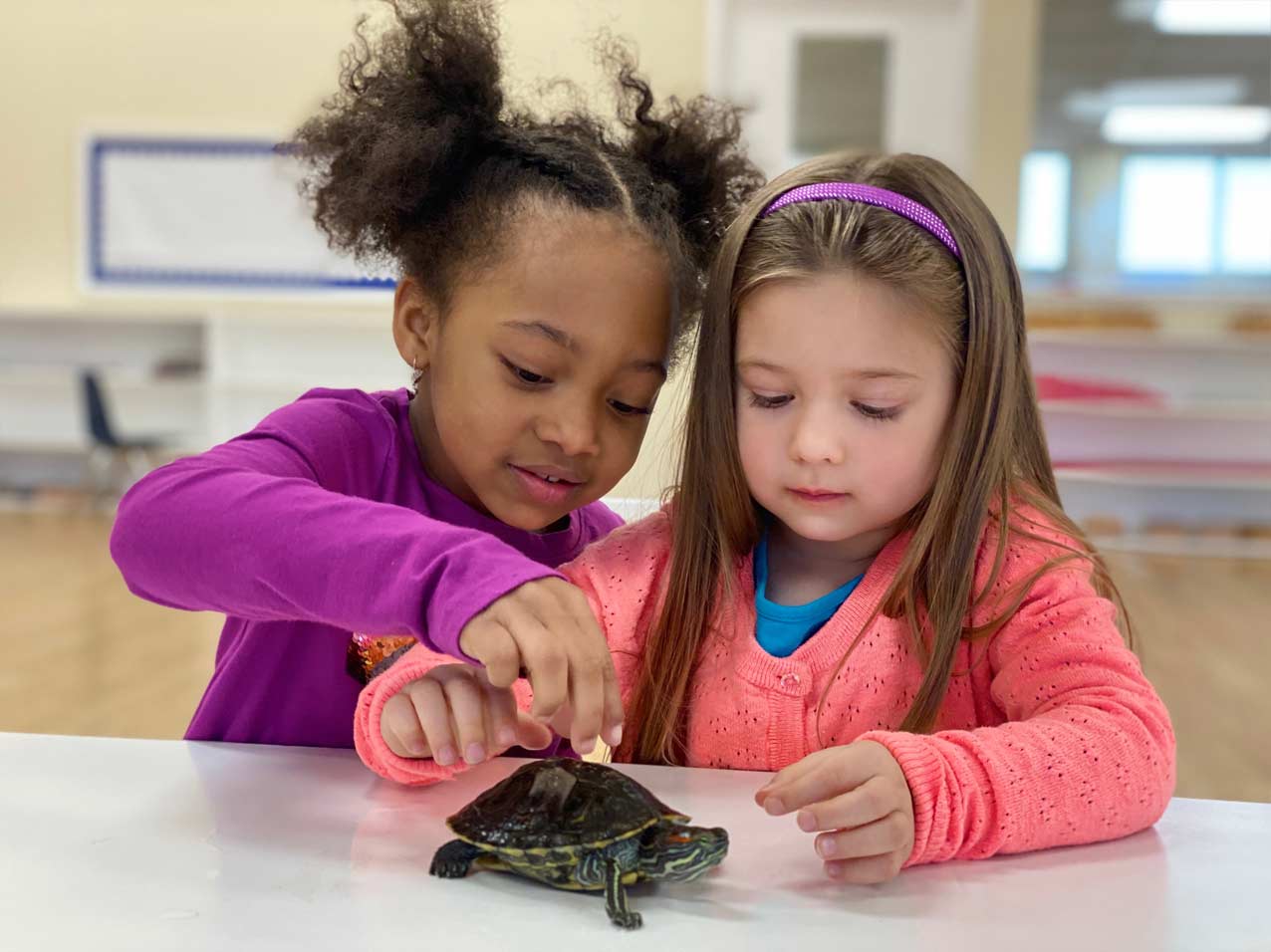 Summer school fun in the Montessori classroom